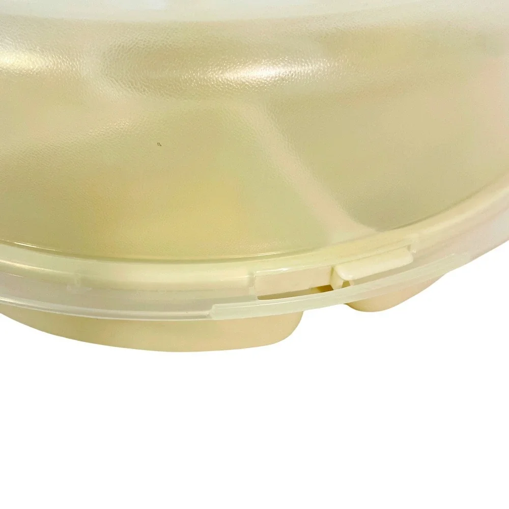 Vintage Rubbermaid Servin Saver Veggie Tray Round Domed Lid Almond‎ Grandmacore